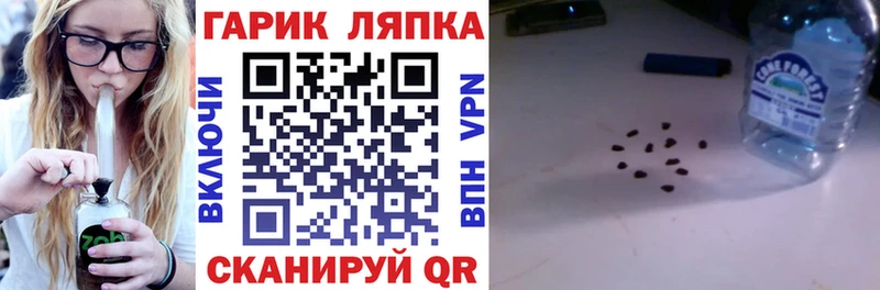 ГАШ Premium кракен зеркало Красково