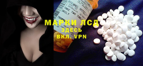 PSILOCYBIN Кулебаки