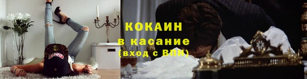 PSILOCYBIN Кулебаки