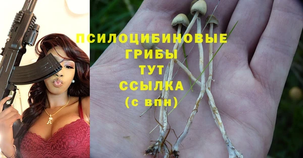 эйфоретик Абаза
